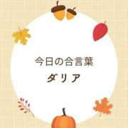 ヒメ日記 2025/10/28 06:58 投稿 夢野きょうか 恋する妻たち