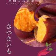 夢野きょうか おはよのよ 恋する妻たち