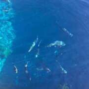 ヒメ日記 2026/02/24 13:57 投稿 来奈/らな ANEJE～アネージュ池袋～(ユメオト)