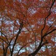 ヒメ日記 2025/12/27 12:39 投稿 ちふゆ Salon du Mーえっちなお姉さんのM性感デリバリーー大阪店