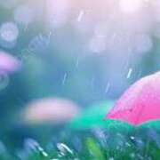 ヒメ日記 2025/11/09 12:15 投稿 かなめ 性腺熟女100％鶯谷（デリヘル市場）