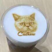 ヒメ日記 2025/09/20 07:52 投稿 じゅな 人妻㊙︎倶楽部