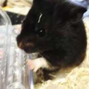 ヒメ日記 2025/09/22 08:22 投稿 じゅな 人妻㊙︎倶楽部