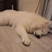 ヒメ日記 2025/09/22 19:52 投稿 じゅな 人妻㊙︎倶楽部