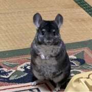 ヒメ日記 2025/10/02 18:26 投稿 じゅな 人妻㊙︎倶楽部