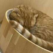 ヒメ日記 2025/10/05 17:20 投稿 じゅな 人妻㊙︎倶楽部