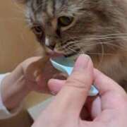 ヒメ日記 2025/11/07 21:50 投稿 じゅな 人妻㊙︎倶楽部