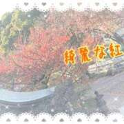 ヒメ日記 2025/11/25 01:10 投稿 じゅな 人妻㊙︎倶楽部