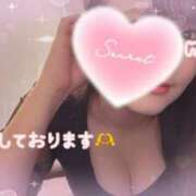 ヒメ日記 2025/09/24 12:32 投稿 ねね Grace東京