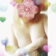 ヒメ日記 2025/09/17 18:57 投稿 あかり 人妻熟女の秘密の関係伊勢崎店