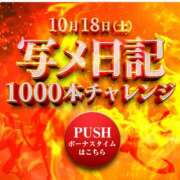 ヒメ日記 2025/10/16 10:00 投稿 のぞみ 奥鉄オクテツ大阪