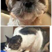 ヒメ日記 2026/01/02 18:22 投稿 かりな モアグループ小山人妻花壇