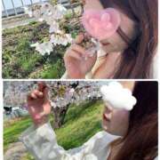 ヒメ日記 2026/03/29 22:51 投稿 かりな モアグループ小山人妻花壇