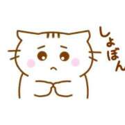 ヒメ日記 2026/01/04 17:30 投稿 まひろ 丸妻 新横浜店