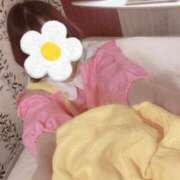 ヒメ日記 2025/10/01 18:01 投稿 ふうか 西川口コスプレメイド学園（シンデレラグループ）