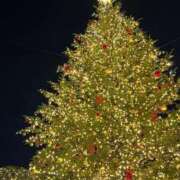 ヒメ日記 2025/12/14 10:44 投稿 司波ゆめか アロマファンタジー高輪