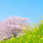 ヒメ日記 2025/12/03 08:46 投稿 浅田ゆみな MADAM