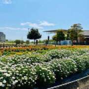 ヒメ日記 2025/12/05 13:16 投稿 浅田ゆみな MADAM