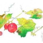 ヒメ日記 2025/12/14 10:46 投稿 浅田ゆみな MADAM