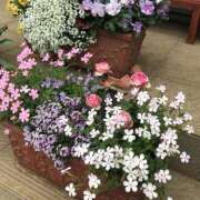 ヒメ日記 2025/12/14 22:31 投稿 浅田ゆみな MADAM