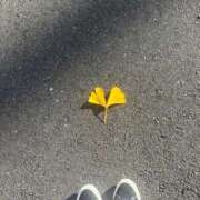 かずは 🍁🍂🍃 べっぴんコレクション