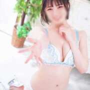 かずは 🎪🙂‍↕️ べっぴんコレクション