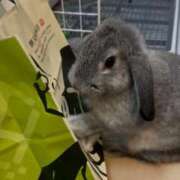 ヒメ日記 2025/09/18 16:55 投稿 あや ぷるりんクエスト上野浅草鶯谷秋葉原デリヘル王国