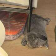 ヒメ日記 2025/09/18 22:16 投稿 あや ぷるりんクエスト上野浅草鶯谷秋葉原デリヘル王国