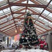 ヒメ日記 2025/12/06 20:02 投稿 星空ゆき 蒲田ウルトラギャラクシー