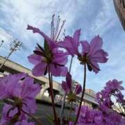 ヒメ日記 2026/05/22 09:47 投稿 松下　つぐみ ドMな奥様 すすきの店