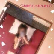 ヒメ日記 2025/11/05 10:27 投稿 とわ Mrs Sirena（ミセスシレナ）