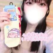 ヒメ日記 2025/11/15 14:48 投稿 ふわり バカンス学園　谷九校