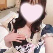 ヒメ日記 2025/11/15 18:03 投稿 ふわり バカンス学園　谷九校