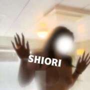 ヒメ日記 2025/09/30 07:17 投稿 しおり One More 奥様　五反田店