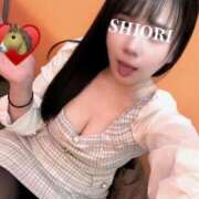 ヒメ日記 2026/01/08 19:47 投稿 しおり One More 奥様　五反田店