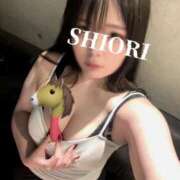 ヒメ日記 2026/04/10 19:17 投稿 しおり One More 奥様　五反田店