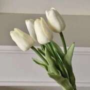 ヒメ日記 2025/09/18 09:39 投稿 れいか CELEB FACE FUKUOKA