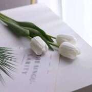 ヒメ日記 2025/09/19 09:59 投稿 れいか CELEB FACE FUKUOKA