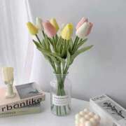 ヒメ日記 2025/11/12 20:29 投稿 れいか CELEB FACE FUKUOKA