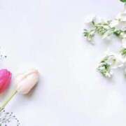 れいか 変更🚗³₃ CELEB FACE FUKUOKA