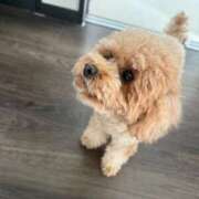 ヒメ日記 2026/01/01 17:40 投稿 まひる　揉み心地抜群！美巨乳 今ドキ マットMAX