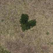 ヒメ日記 2026/01/08 14:00 投稿 まひる　揉み心地抜群！美巨乳 今ドキ マットMAX