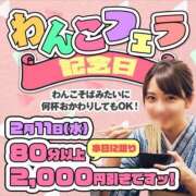 ヒメ日記 2026/02/06 20:05 投稿 花房【はなふさ】 丸妻 西船橋店