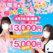 ヒメ日記 2026/04/02 19:33 投稿 花房【はなふさ】 丸妻 西船橋店