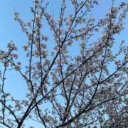 ヒメ日記 2026/04/04 18:17 投稿 花房【はなふさ】 丸妻 西船橋店