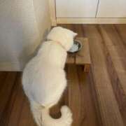 ヒメ日記 2025/10/03 09:47 投稿 小川 ミセスの手ほどき