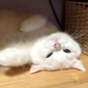 ヒメ日記 2025/10/11 11:30 投稿 小川 ミセスの手ほどき