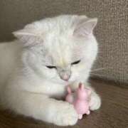 ヒメ日記 2025/10/12 18:03 投稿 小川 ミセスの手ほどき