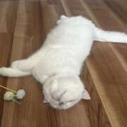 ヒメ日記 2025/10/17 13:45 投稿 小川 ミセスの手ほどき