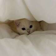 ヒメ日記 2025/10/23 18:00 投稿 小川 ミセスの手ほどき